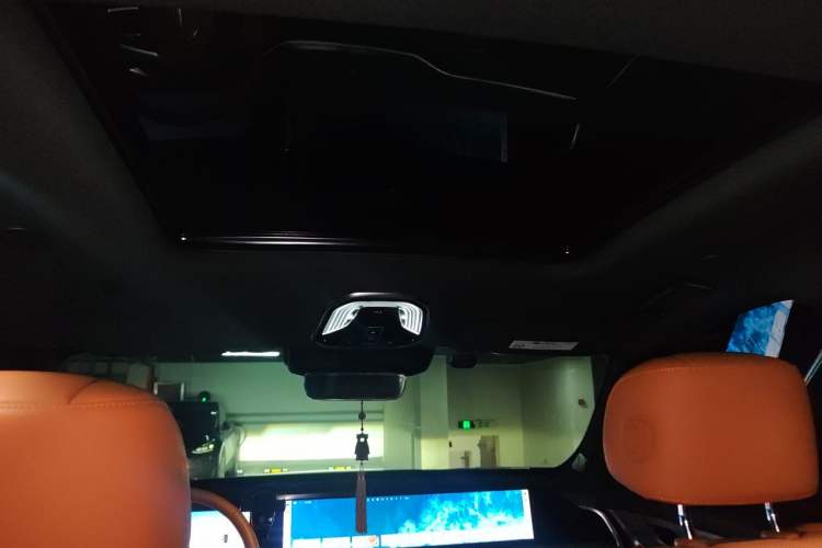 Used Wey Lanshan 2023 Two-Wheel Drive Long-Range Version Headliner