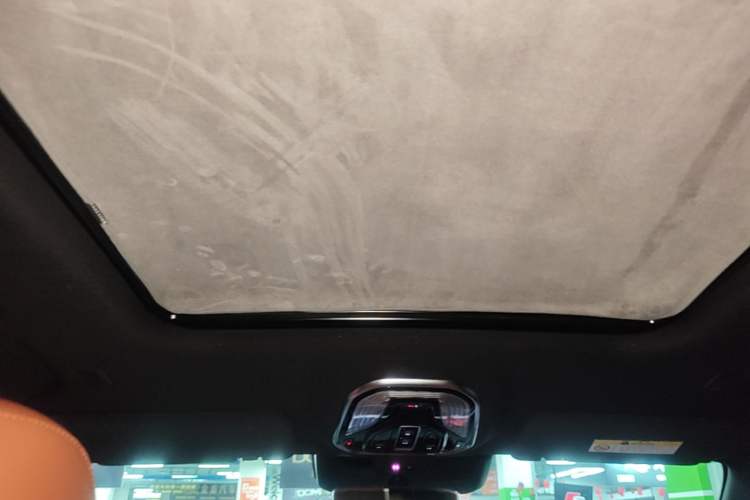 Used Wey Lanshan 2023 Four-Wheel Drive Ultra-Long Range Version Headliner