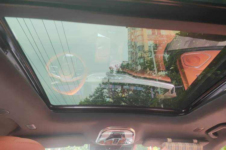 Used Wey Lanshan 2023 Four-Wheel Drive Ultra-Long Range Version Headliner