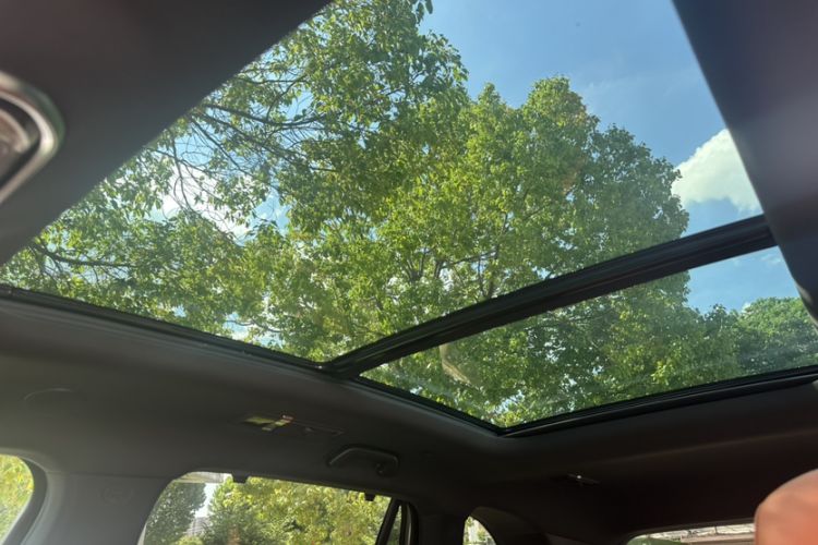Used Wey Lanshan 2023 Four-Wheel Drive Ultra-Long Range Version Headliner