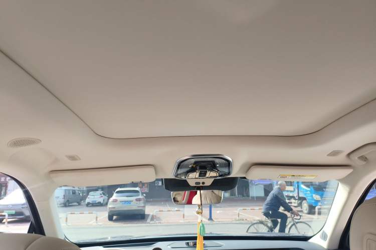 Used Wey Lanshan 2023 Four-Wheel Drive Ultra-Long Range Version Headliner