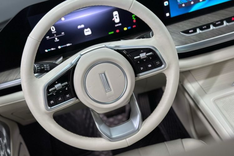 Used Wey Lanshan 2023 Two-Wheel Drive Long-Range Version Interior 1