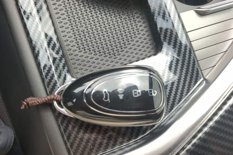 Used Wey Lanshan 2023 Four-Wheel Drive Ultra-Long Range Version Interior 1