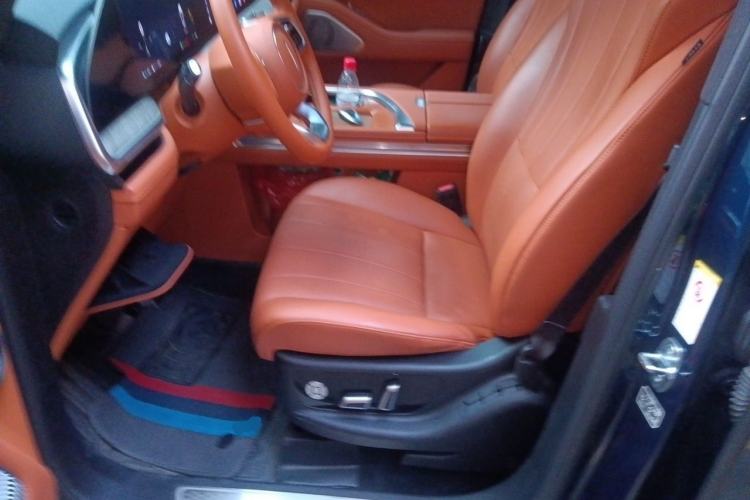 Used Wey Lanshan 2023 Four-Wheel Drive Ultra-Long Range Version Left Front Seat