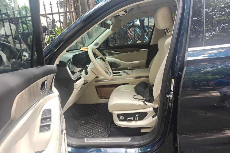 Used Wey Lanshan 2023 Four-Wheel Drive Ultra-Long Range Version Left Front Seat