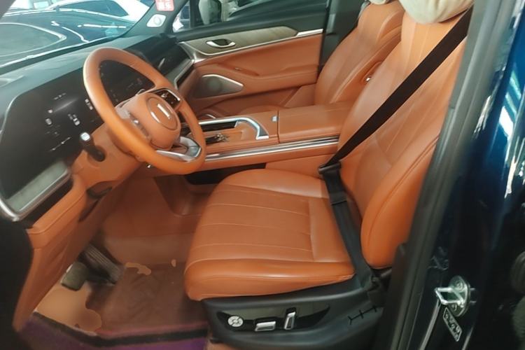 Used Wey Lanshan 2023 Four-Wheel Drive Ultra-Long Range Version Left Front Seat