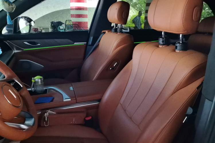 Used Wey Lanshan 2023 Four-Wheel Drive Ultra-Long Range Version Left Front Seat