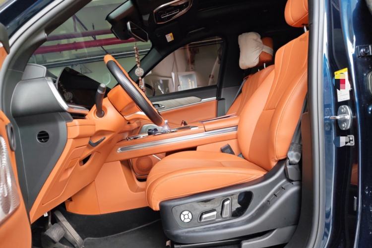 Used Wey Lanshan 2023 Four-Wheel Drive Ultra-Long Range Version Left Front Seat