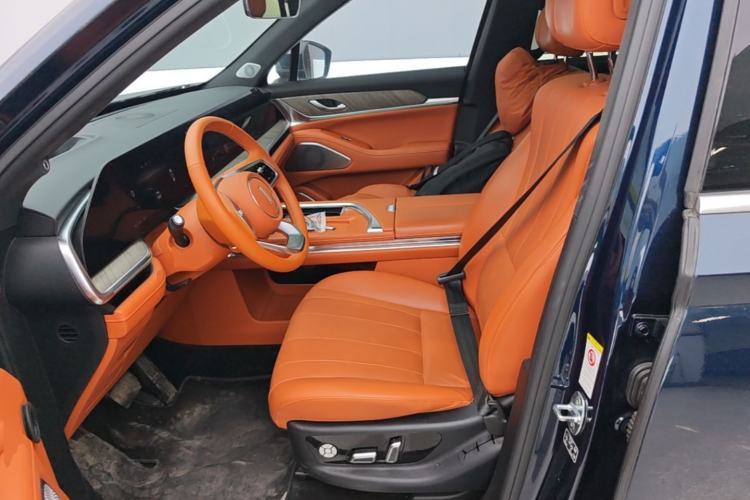 Used Wey Lanshan 2023 Four-Wheel Drive Ultra-Long Range Version Left Front Seat
