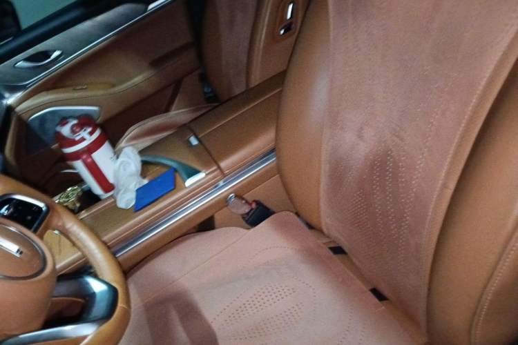 Used Wey Lanshan 2023 Four-Wheel Drive Ultra-Long Range Version Left Front Seat