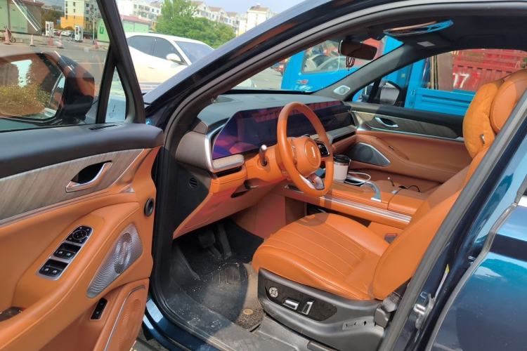 Used Wey Lanshan 2023 Four-Wheel Drive Ultra-Long Range Version Left Front Seat