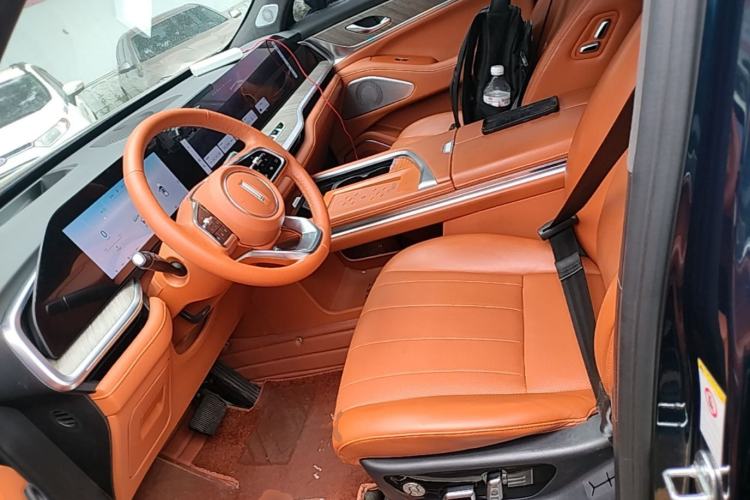 Used Wey Lanshan 2023 Four-Wheel Drive Ultra-Long Range Version Left Front Seat