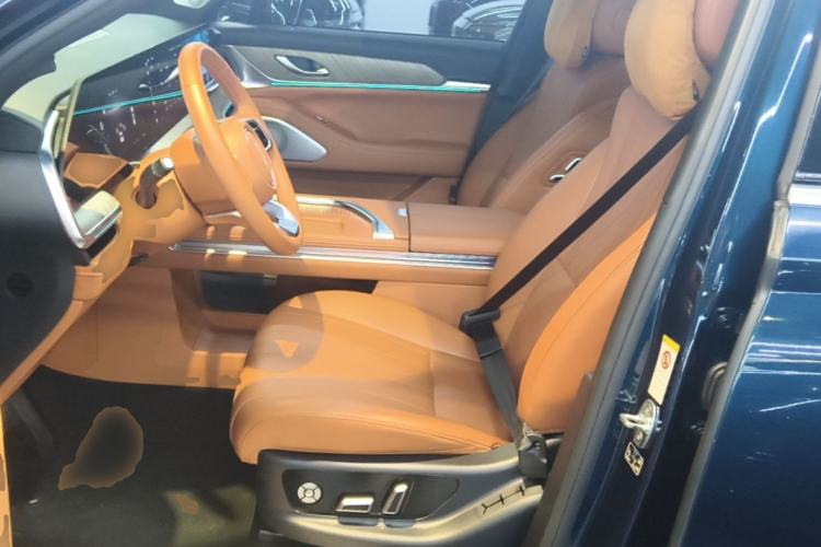 Used Wey Lanshan 2023 Four-Wheel Drive Ultra-Long Range Version Left Front Seat