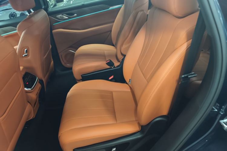 Used Wey Lanshan 2023 Two-Wheel Drive Long-Range Version Left Rear Seat