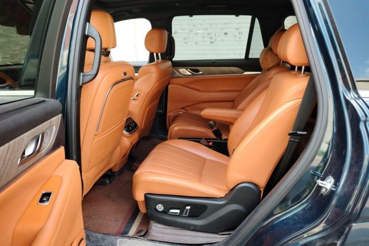 Used Wey Lanshan 2023 Four-Wheel Drive Ultra-Long Range Version Left Rear Seat