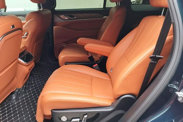 Used Wey Lanshan 2023 Four-Wheel Drive Ultra-Long Range Version Left Rear Seat