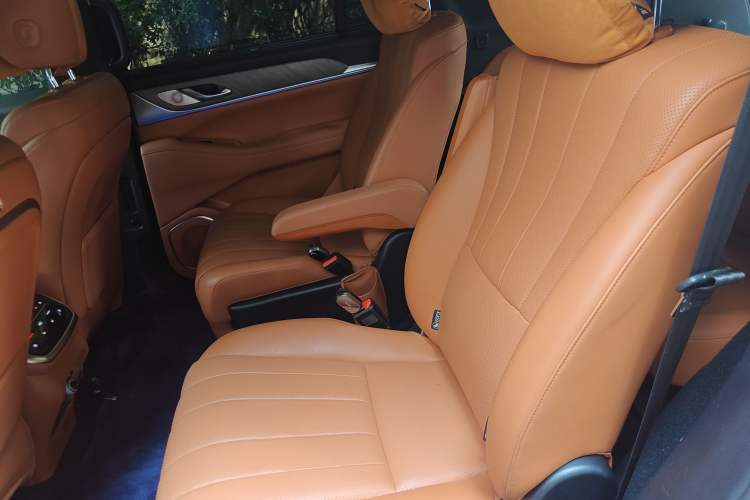 Used Wey Lanshan 2023 Four-Wheel Drive Ultra-Long Range Version Left Rear Seat