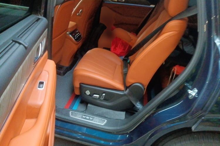 Used Wey Lanshan 2023 Four-Wheel Drive Ultra-Long Range Version Left Rear Seat