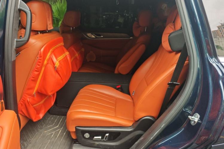 Used Wey Lanshan 2023 Four-Wheel Drive Ultra-Long Range Version Left Rear Seat