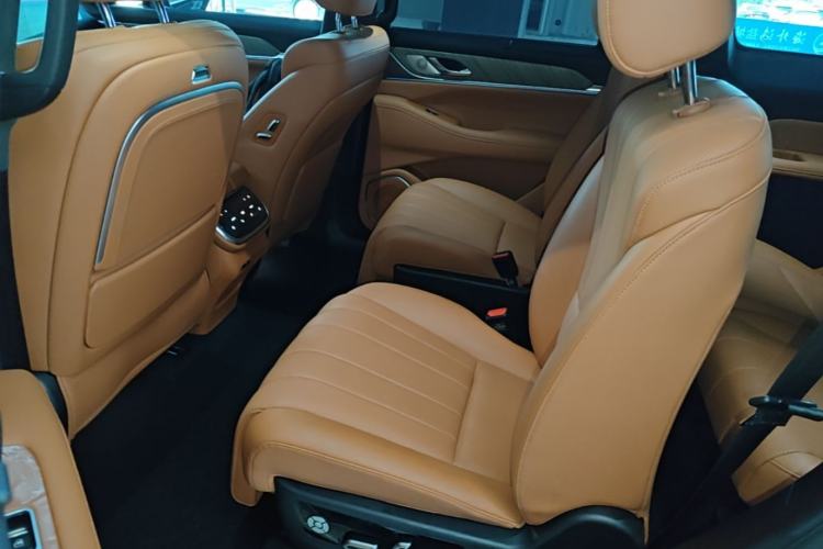 Used Wey Lanshan 2023 Four-Wheel Drive Ultra-Long Range Version Left Rear Seat