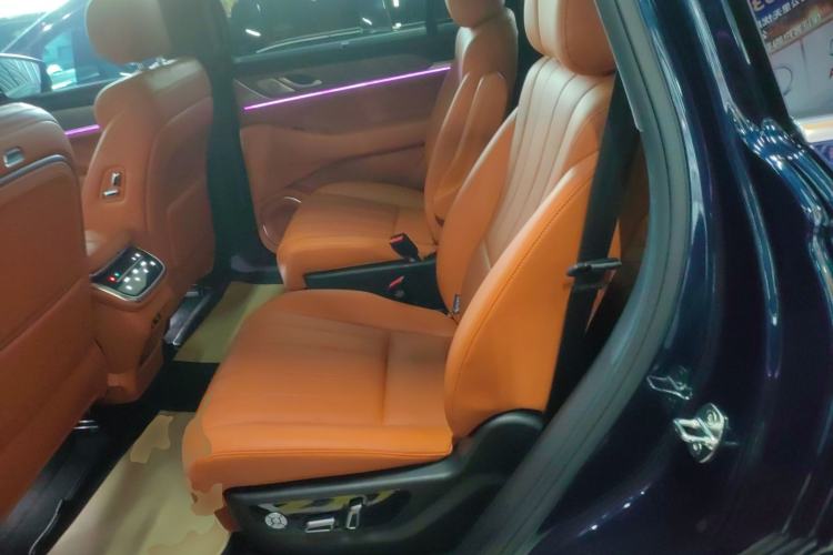 Used Wey Lanshan 2023 Four-Wheel Drive Ultra-Long Range Version Left Rear Seat