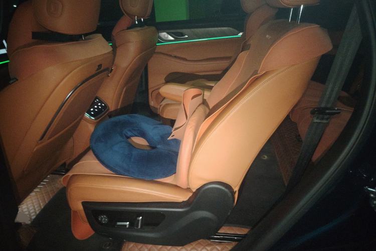 Used Wey Lanshan 2023 Four-Wheel Drive Ultra-Long Range Version Left Rear Seat