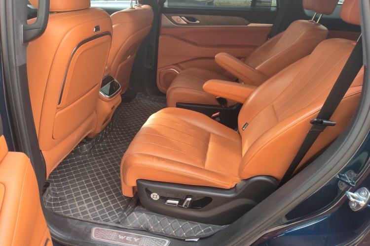 Used Wey Lanshan 2023 Four-Wheel Drive Ultra-Long Range Version Left Rear Seat