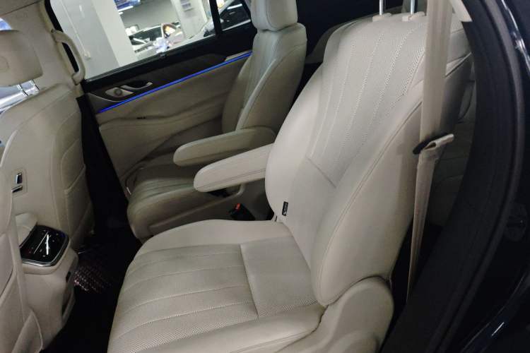 Used Wey Lanshan 2023 Two-Wheel Drive Long-Range Version Left Rear Seat