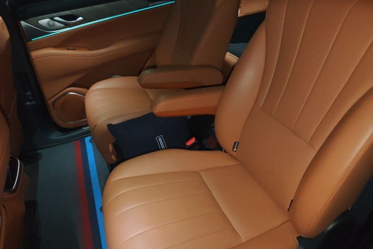 Used Wey Lanshan 2023 Two-Wheel Drive Long-Range Version Left Rear Seat