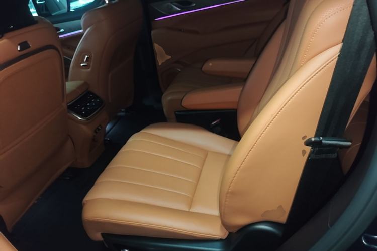 Used Wey Lanshan 2023 Four-Wheel Drive Ultra-Long Range Version Left Rear Seat
