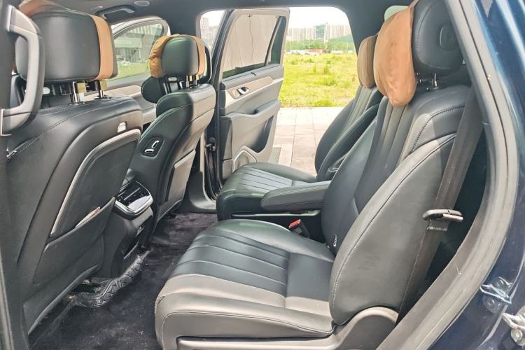 Used Wey Lanshan 2023 Four-Wheel Drive Ultra-Long Range Version Left Rear Seat