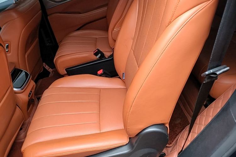 Used Wey Lanshan 2023 Four-Wheel Drive Ultra-Long Range Version Left Rear Seat
