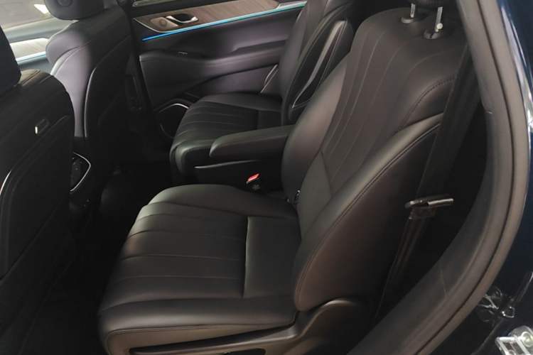 Used Wey Lanshan 2023 Four-Wheel Drive Ultra-Long Range Version Left Rear Seat