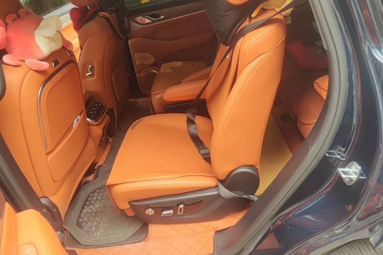 Used Wey Lanshan 2023 Four-Wheel Drive Ultra-Long Range Version Left Rear Seat