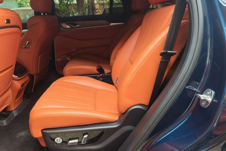 Used Wey Lanshan 2023 Four-Wheel Drive Ultra-Long Range Version Left Rear Seat