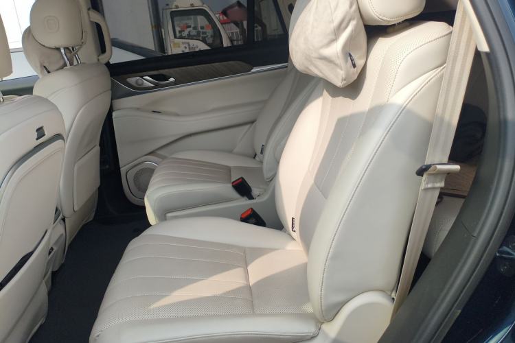 Used Wey Lanshan 2023 Four-Wheel Drive Ultra-Long Range Version Left Rear Seat