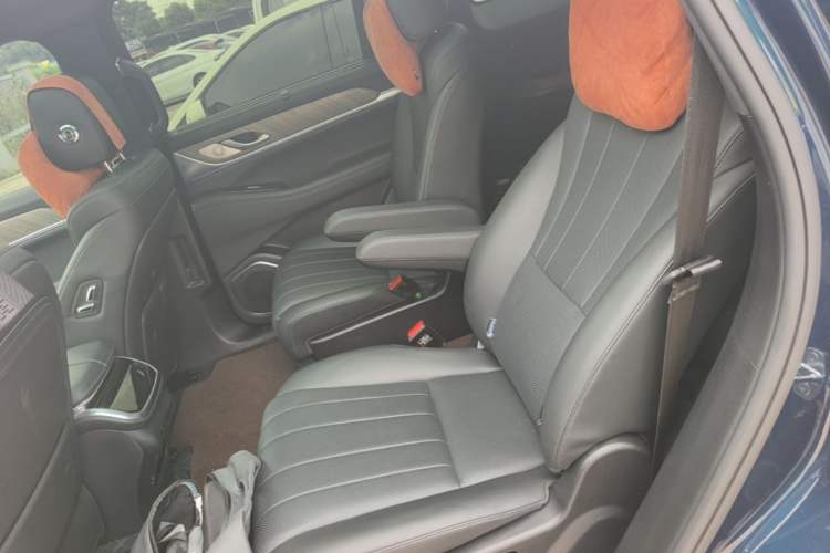 Used Wey Lanshan 2023 Four-Wheel Drive Ultra-Long Range Version Left Rear Seat