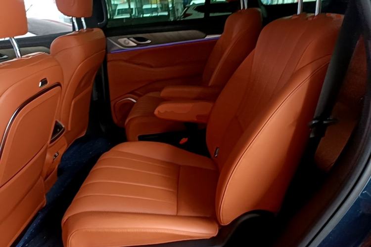 Used Wey Lanshan 2023 Four-Wheel Drive Ultra-Long Range Version Left Rear Seat