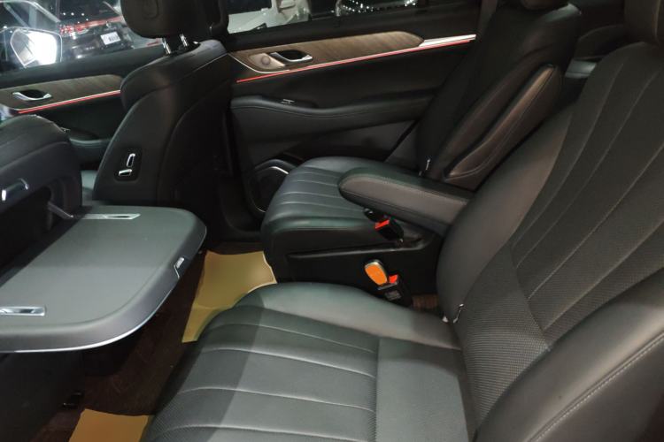 Used Wey Lanshan 2023 Four-Wheel Drive Ultra-Long Range Version Left Rear Seat