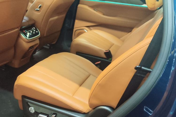 Used Wey Lanshan 2023 Four-Wheel Drive Ultra-Long Range Version Left Rear Seat