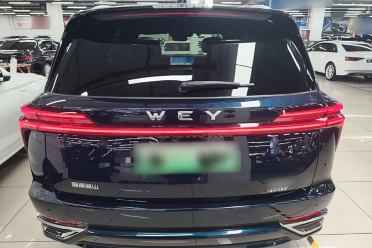 Used Wey Lanshan 2023 Two-Wheel Drive Long-Range Version Rear