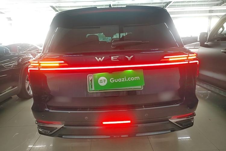 Used Wey Lanshan 2023 Four-Wheel Drive Ultra-Long Range Version Rear