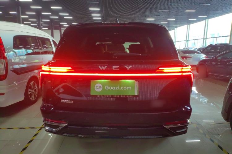 Used Wey Lanshan 2023 Four-Wheel Drive Ultra-Long Range Version Rear