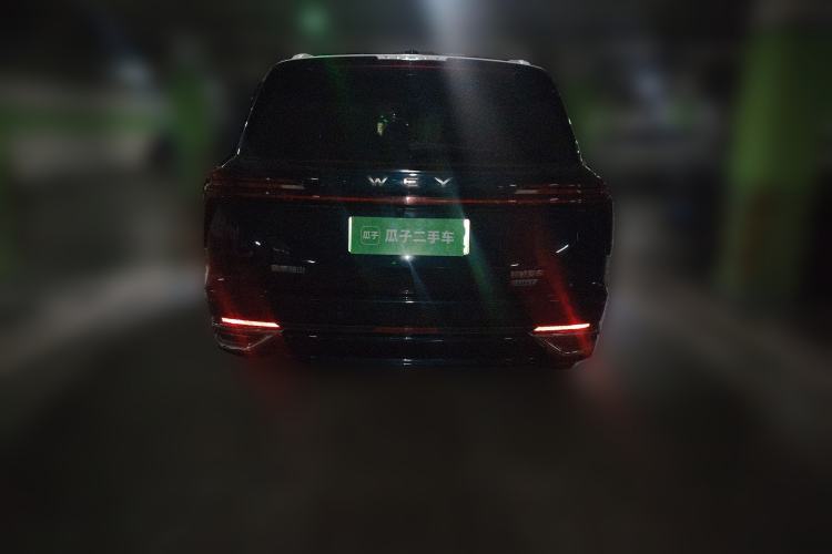 Used Wey Lanshan 2023 Four-Wheel Drive Ultra-Long Range Version Rear