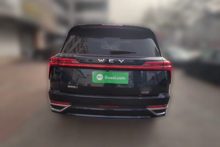 Used Wey Lanshan 2023 Four-Wheel Drive Ultra-Long Range Version Rear