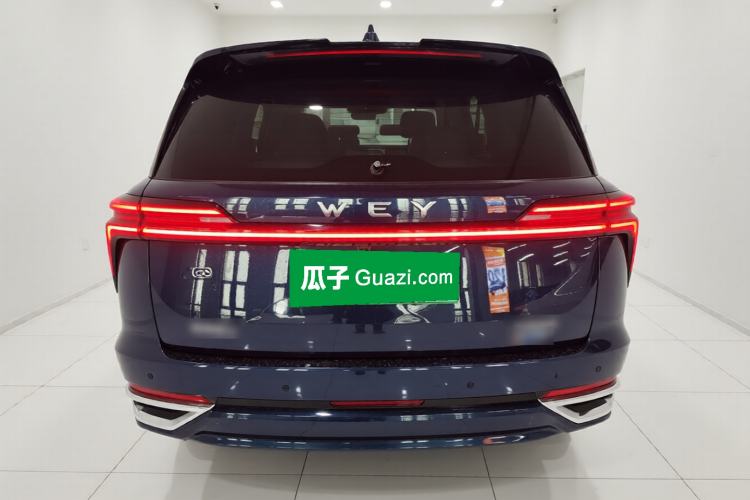 Used Wey Lanshan 2023 Two-Wheel Drive Long-Range Version Rear