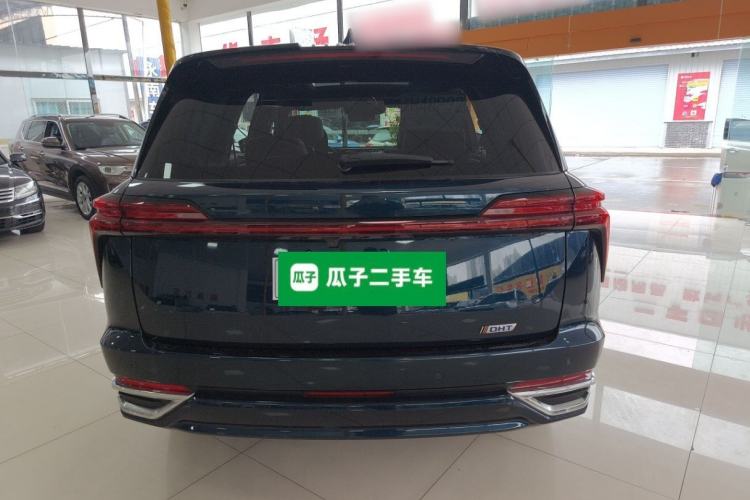 Used Wey Lanshan 2023 Four-Wheel Drive Ultra-Long Range Version Rear