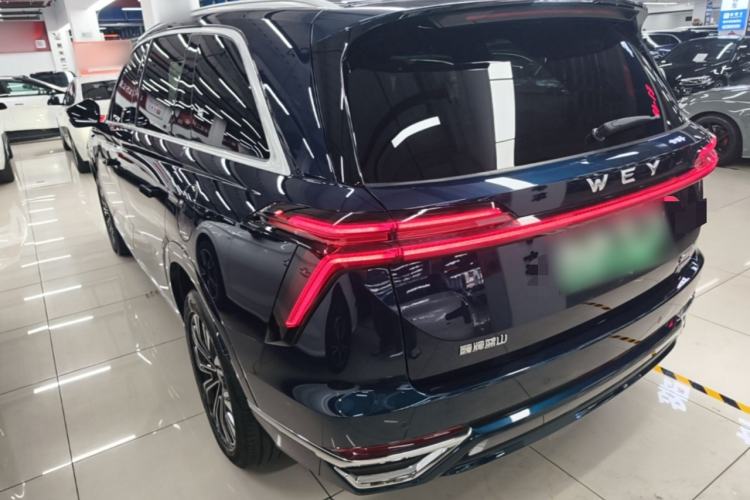 Used Wey Lanshan 2023 Two-Wheel Drive Long-Range Version Rear Left 45 Deg