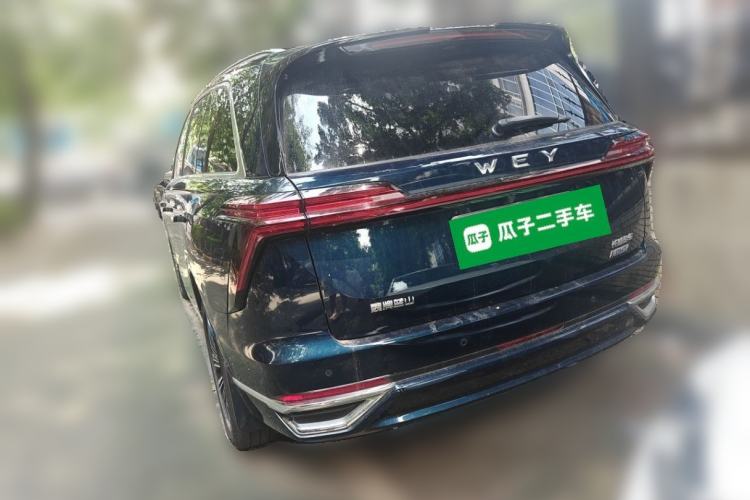 Used Wey Lanshan 2023 Four-Wheel Drive Ultra-Long Range Version Rear Left 45 Deg