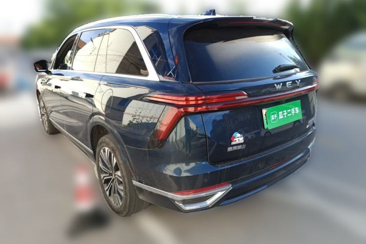 Used Wey Lanshan 2023 Four-Wheel Drive Ultra-Long Range Version Rear Left 45 Deg